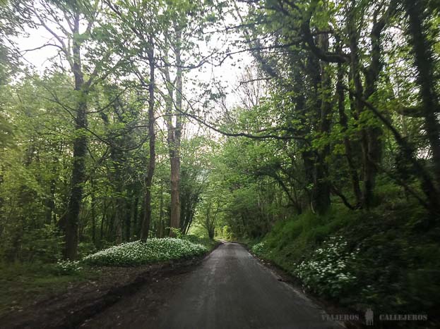 Cómo ir a Los Cotswolds