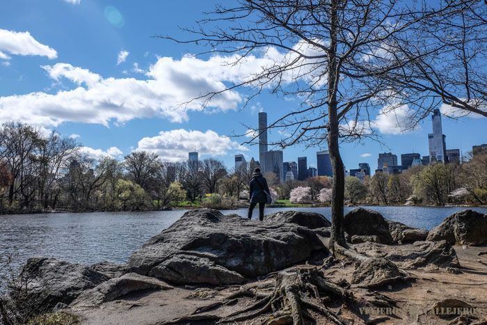 Mejores fotos de Nueva York en Central Park