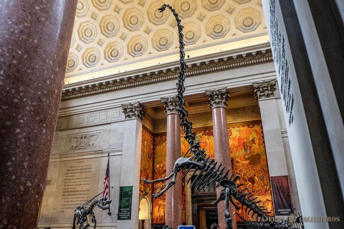 museo de historia natural