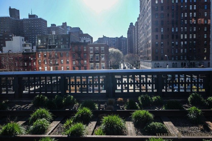 Primavera en el High Line