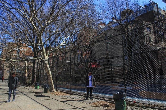 The Cage