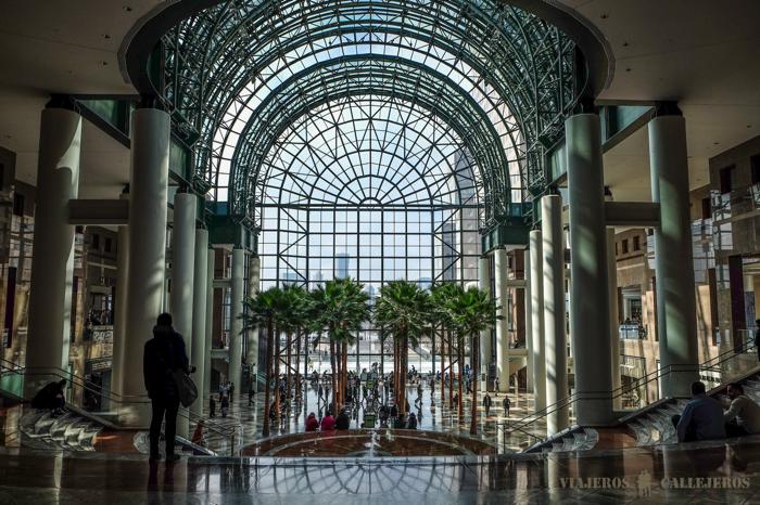 Winter Garden