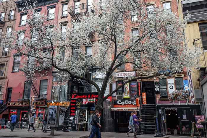 Lower East Side