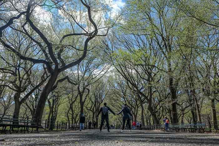 Despedida de un domingo en Central Park