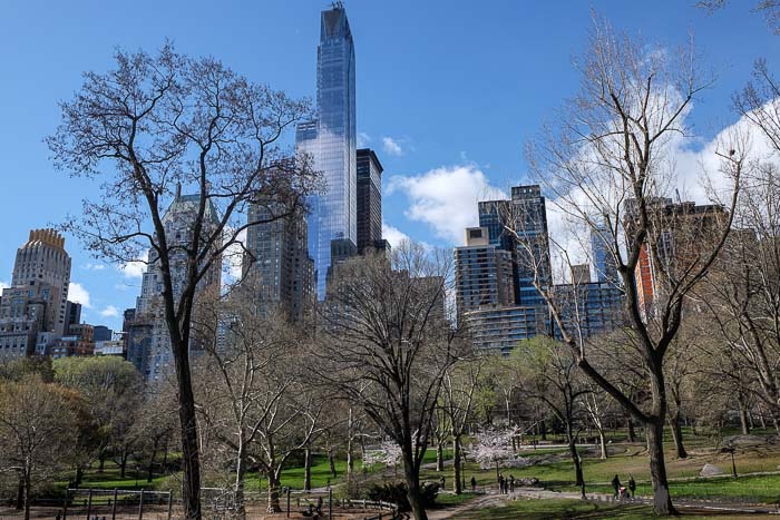 Domingo en Central Park