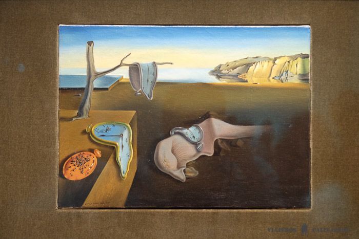dali-moma
