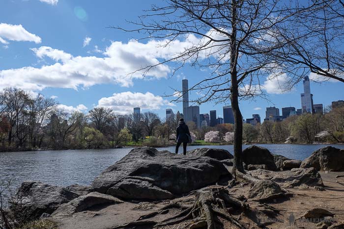 Impresionantes vistas desde Central Park