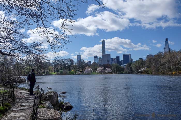 Domingo en Central Park