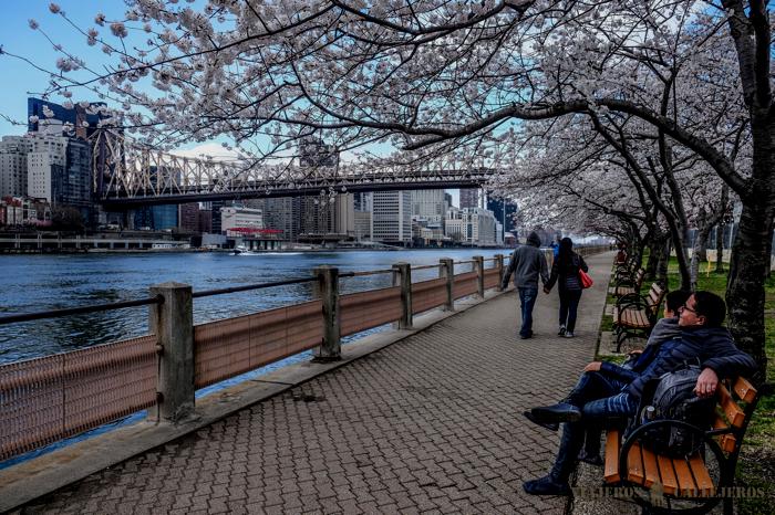 Isla de Roosevelt en Nueva York