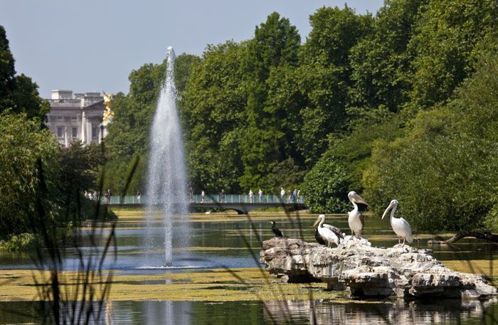 St James Park