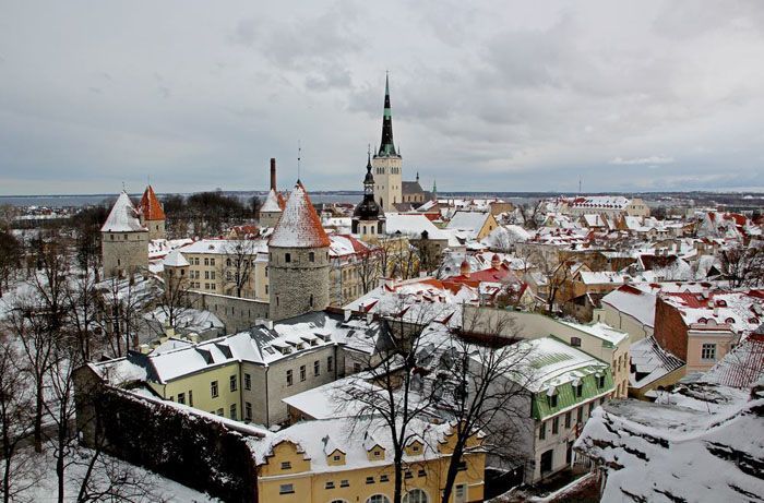 Free tour en Tallin en español