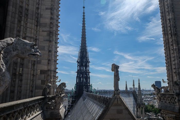 Tejados de Notre Dame