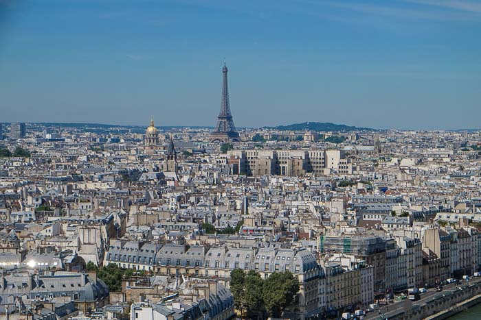 Torre Eiffel desde Notre Dame. Qué ver en la Isla de la Cité