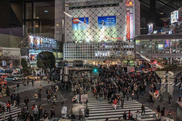 Cruce de Shibuya desde Starbucks, una de las mejores cosas que hacer en Tokio.