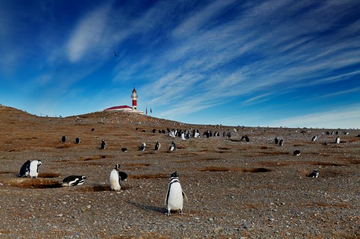 isla-magdalena