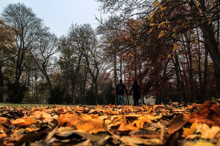 Pasear por El Jardín Inglés, una de las mejores cosas que hacer en Múnich.