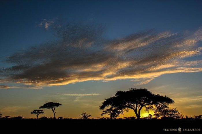 Kenia