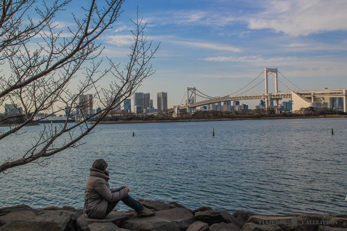 Playa de Odaiba