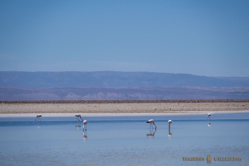 Laguna Chaxá