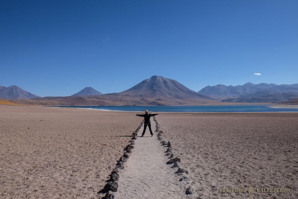Laguna Miscant
