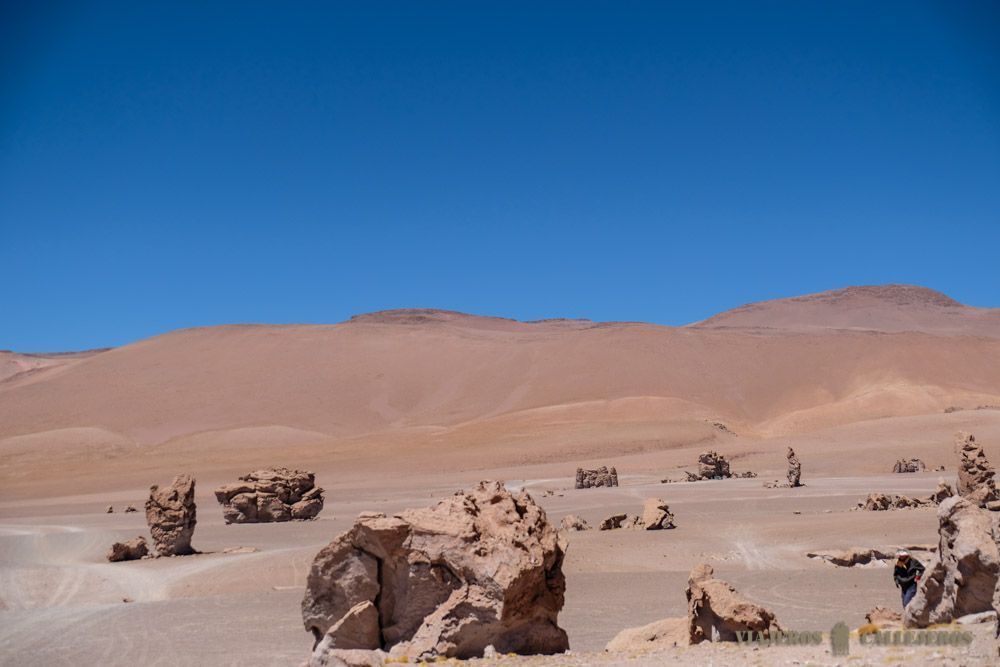 Vistas de los Monjes de la Pacana