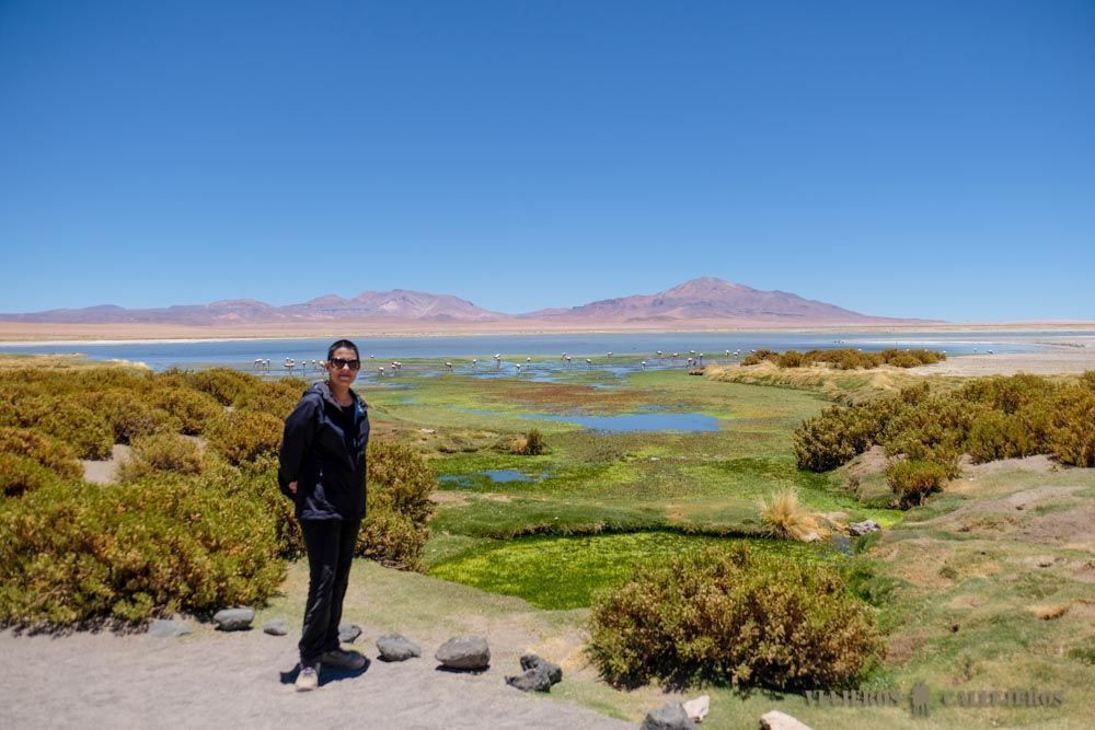 Salar de Tara