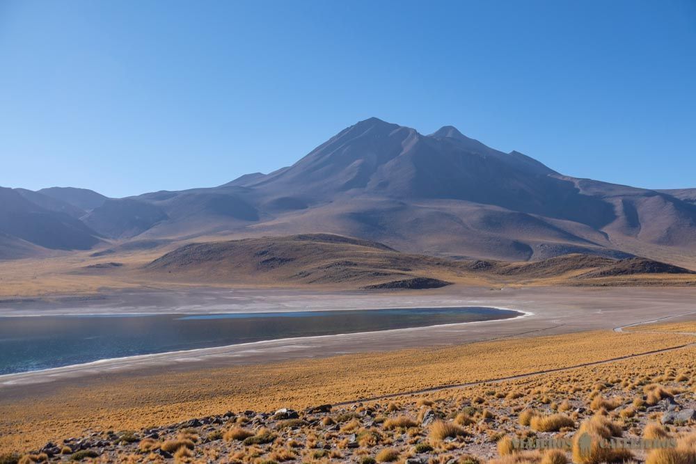 Laguna Miscanti