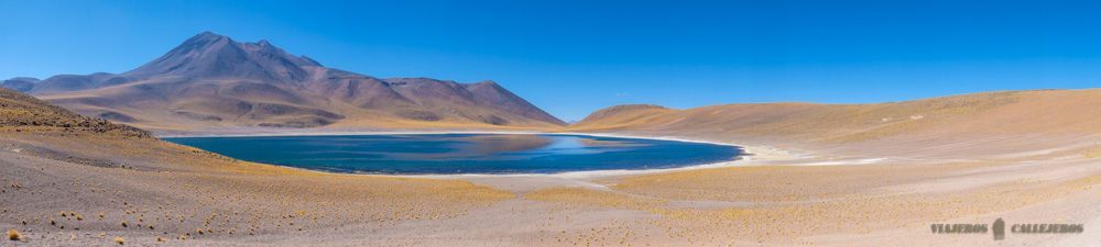 Panorámica Laguna Miscanti