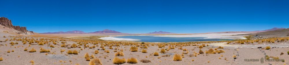 Panorámica Salar de Tara