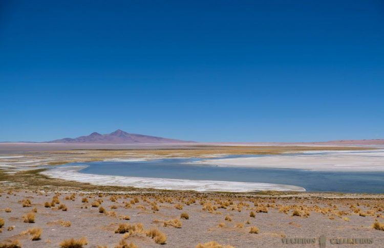 Salar de Tara
