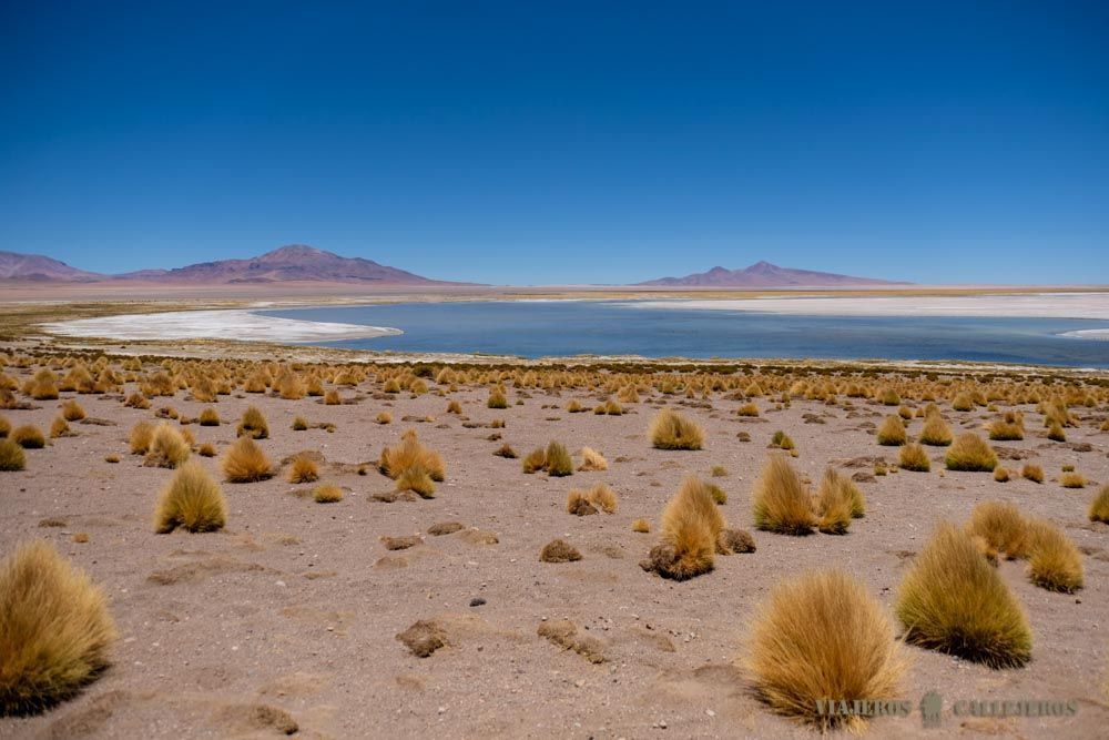 Salar de Tara
