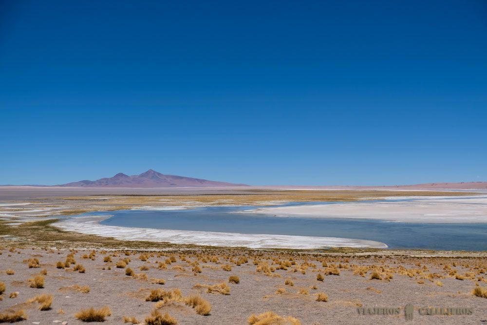 Salar de Tara