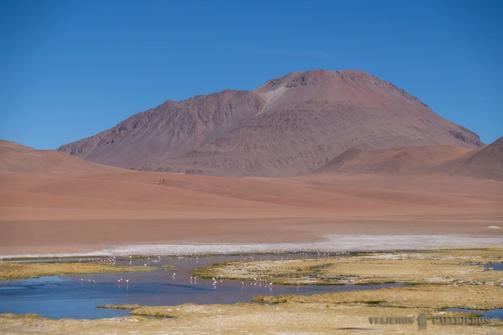 Laguna de Quepiaco