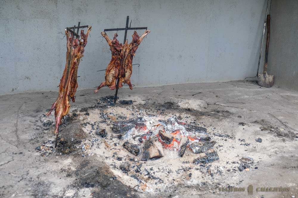Asado al palo magallánico