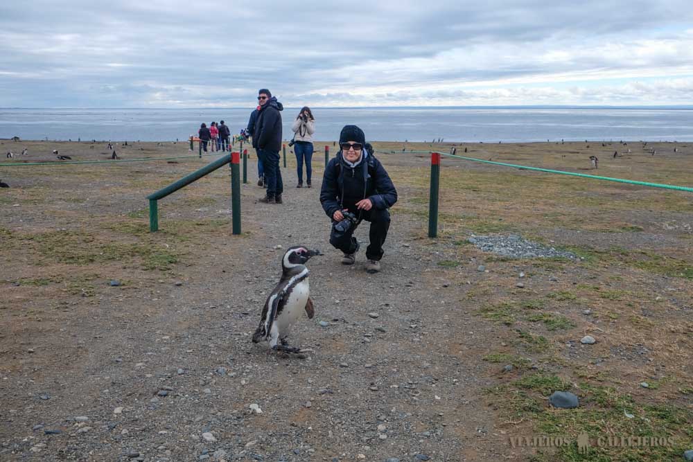 Tour Isla Magdalena