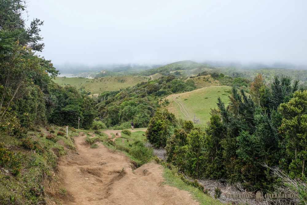 Último kilómetro del sendero al Muelle de las Almas