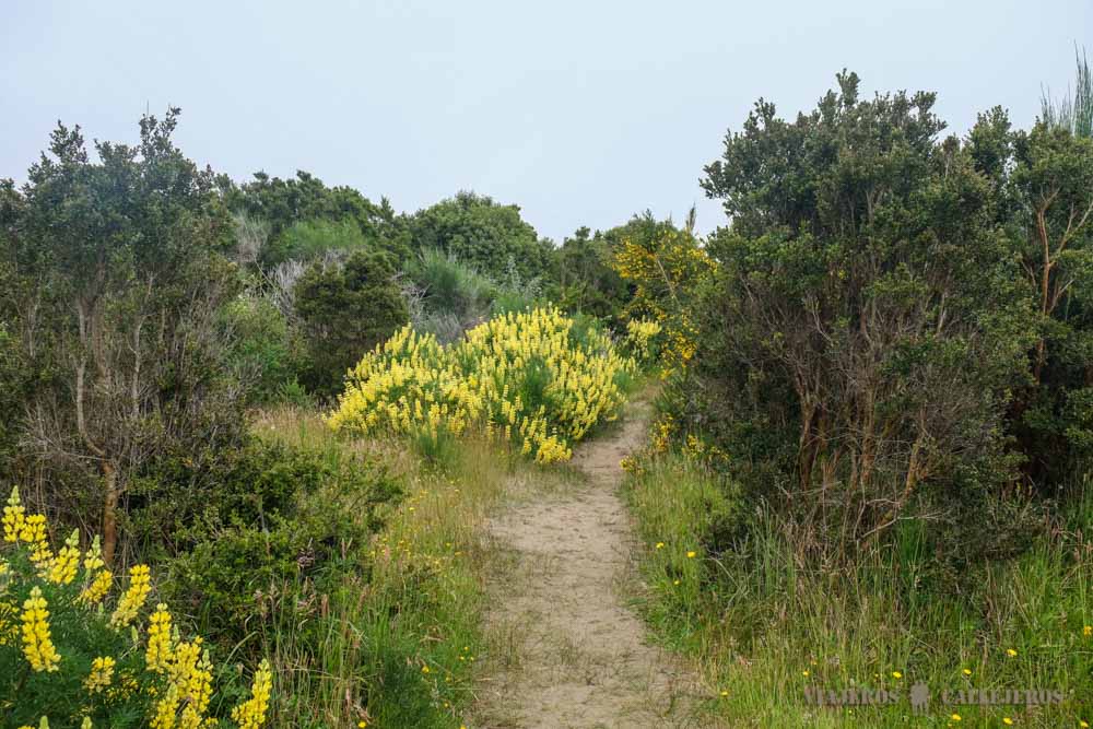 Sendero Playa