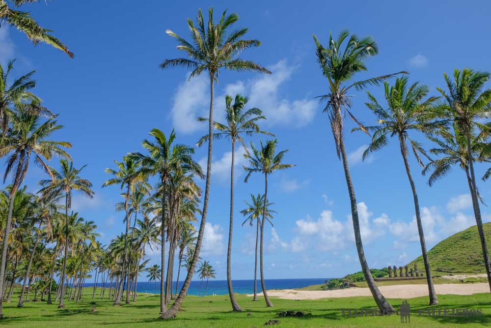 Anakena
