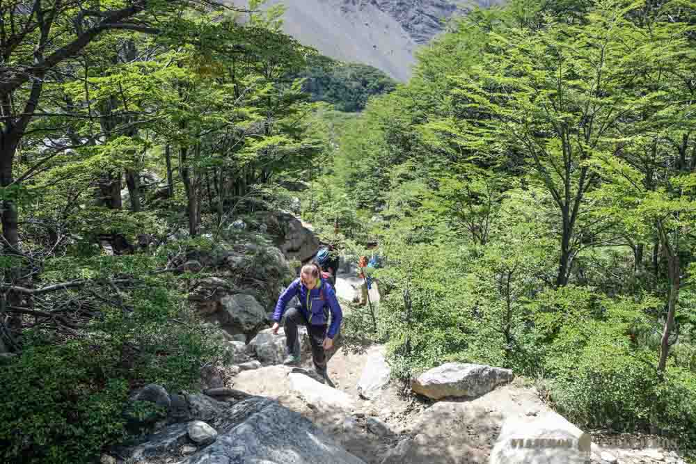 Segunda etapa del Bosque de lengas