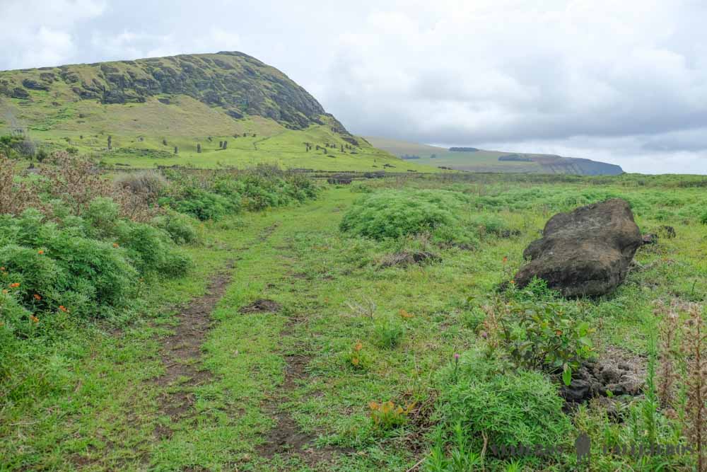 Te Ara O Te Moai