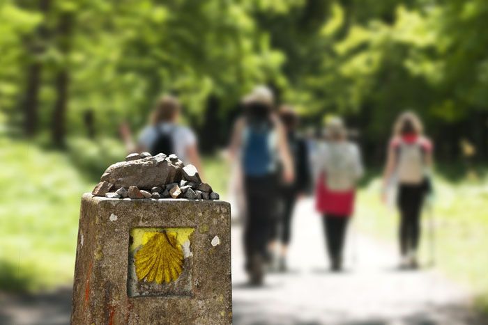 El Camino de Santiago