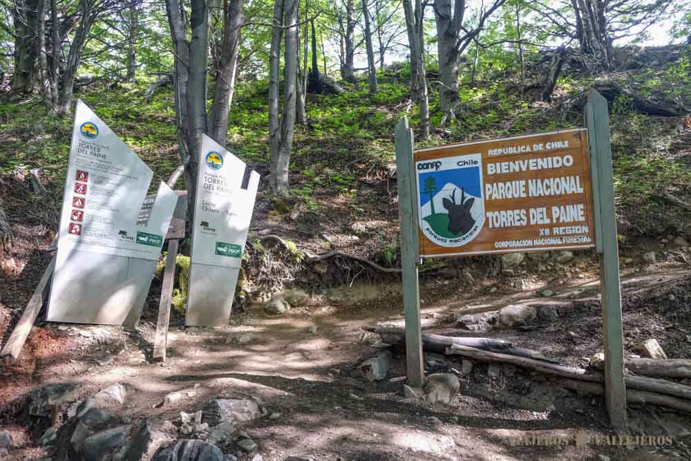Carteles Bosque de lengas