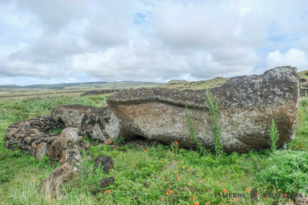 Te Ara O Te Moai