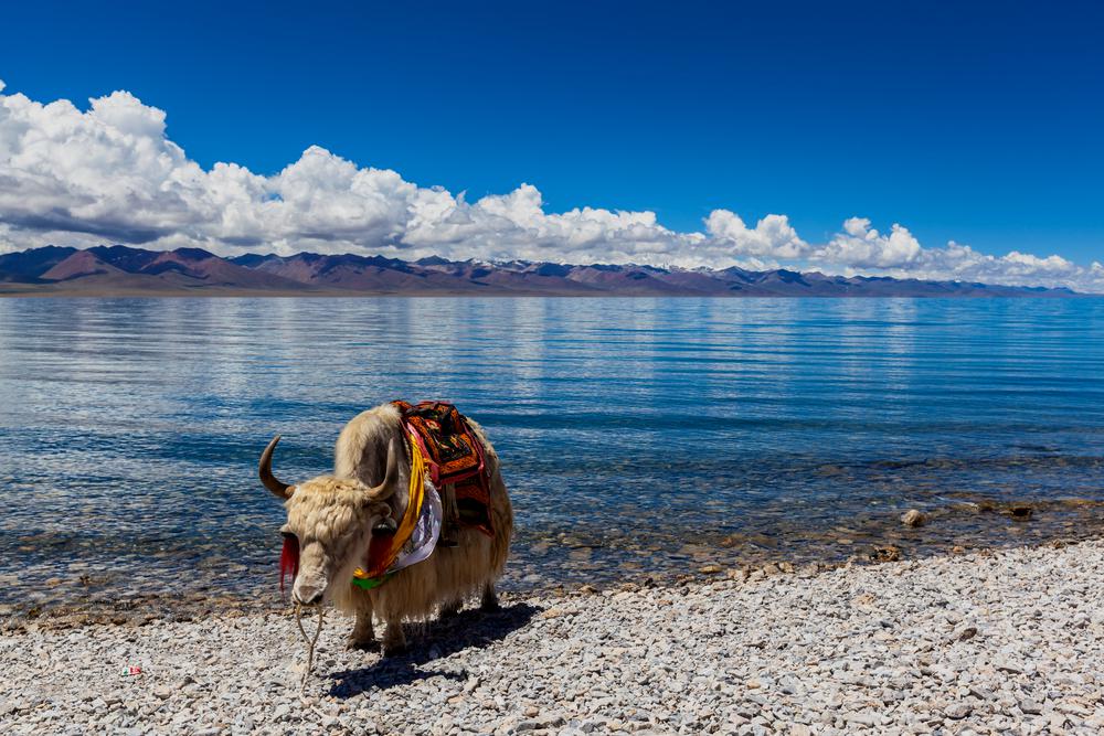 Lago Namtso