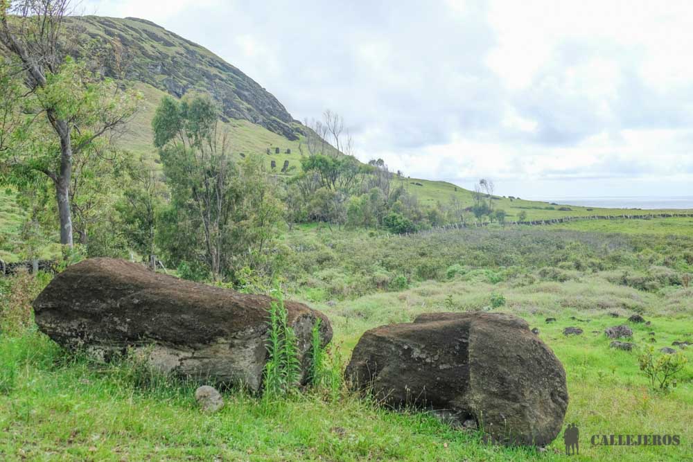 Te Ara O Te Moai
