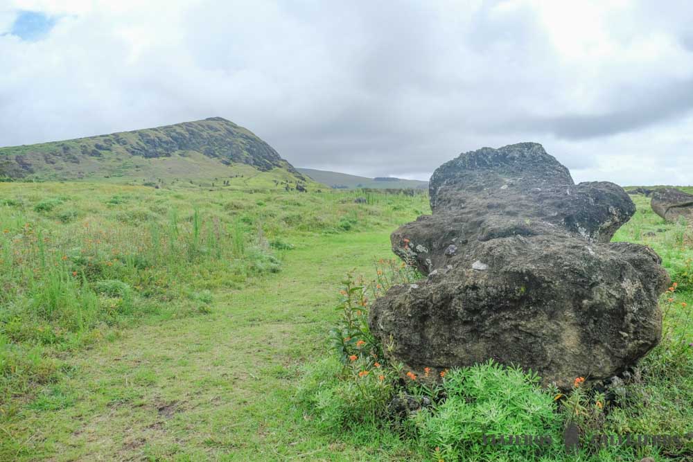 Aquí comienza Te Ara O Te Moai Camino de los moáis