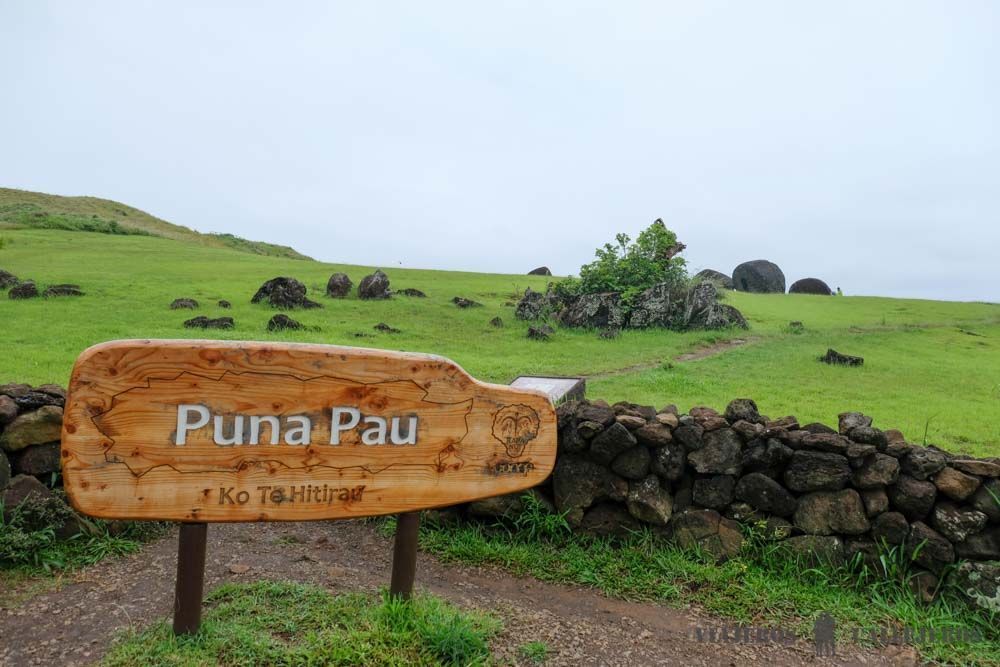 Puna Pau