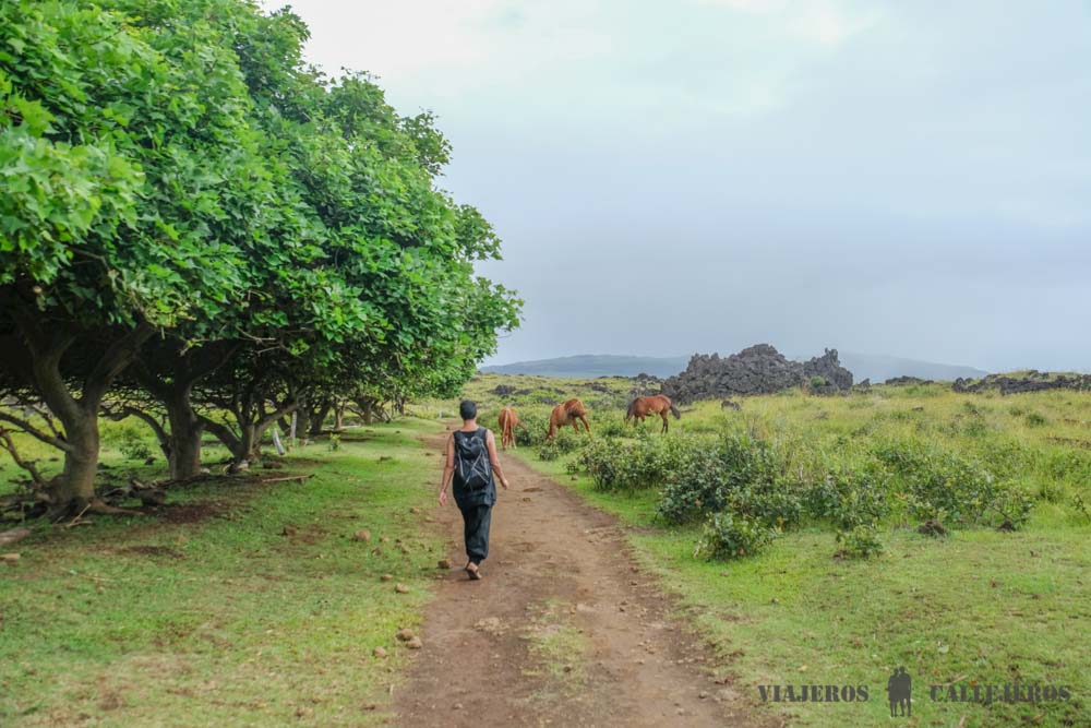 Camino a Ana Akananga