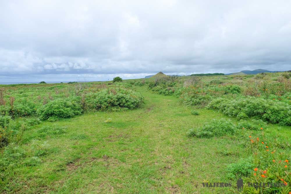 Aquí comienza Te Ara O Te Moai Camino de los moáis