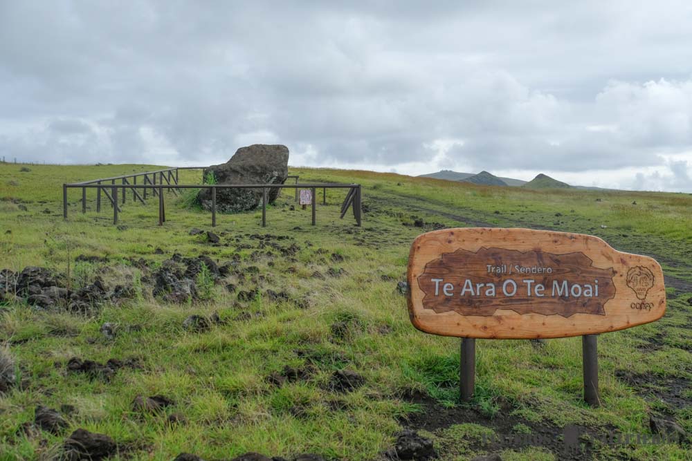 Aquí comienza Te Ara O Te Moai Camino de los moáis